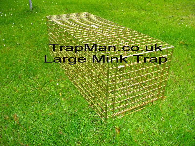 Large mink, polecat trap, Much larger trap for mink, wildcat or polecat size 27"x10"x9"