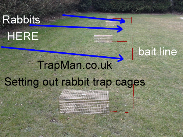 Rabbit trap pro gold rabbit trap, The Trap Man single live catch humane ...